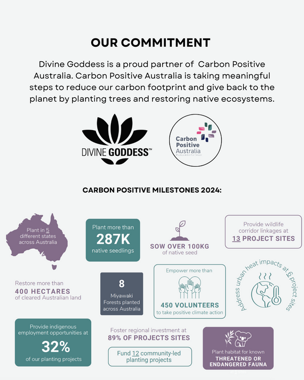 Our Partnership with Carbon Positive Australia